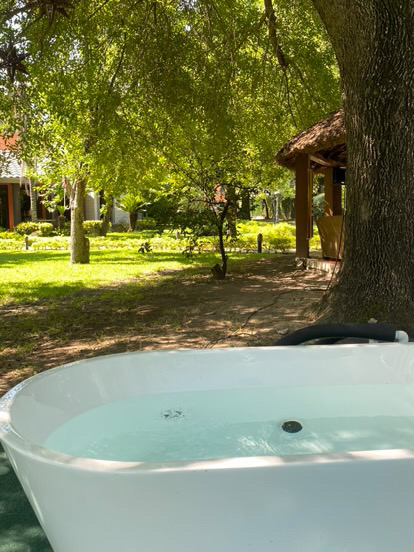 Blanco en jardín